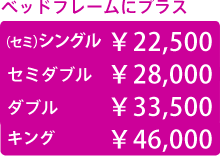 �٥åɥե졼��ˡܡ�19,800