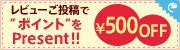 ӥ塼500ݥȥץ쥼