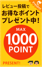 ��ӥ塼��500�ݥ���ȥץ쥼���