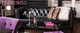 3�ͳݤ����ե��� TERRINE3