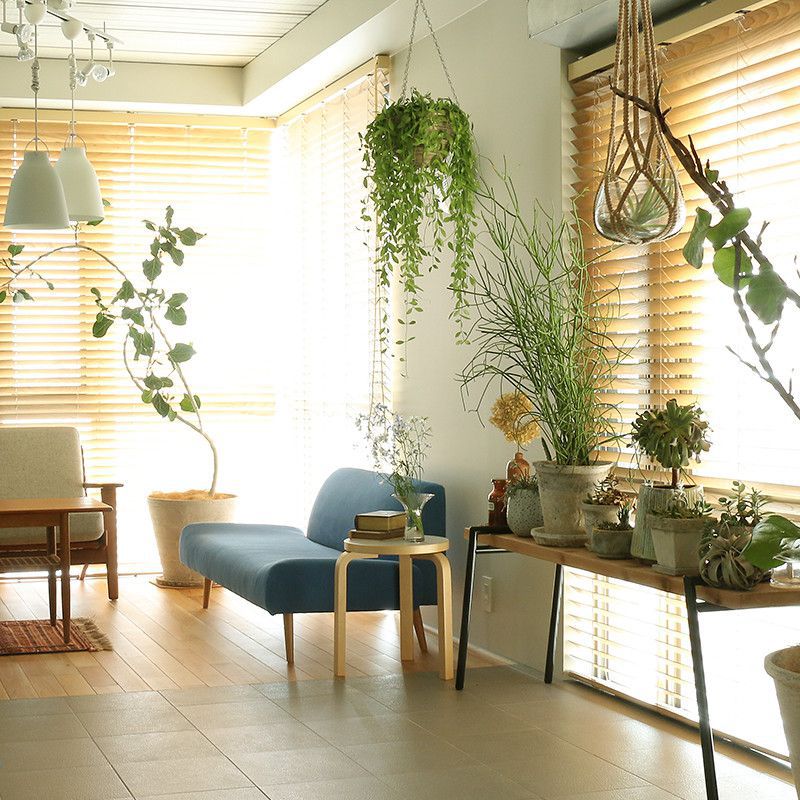 インテリアにグリーンを取り入れよう Re Ceno Mag
