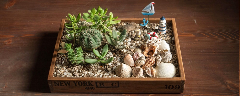 自分だけのミニチュアの世界を 多肉植物とサボテンで作る Re Ceno Mag