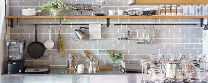 お部屋で育てやすいグリーンって スタッフのおすすめと コ Re Ceno Mag