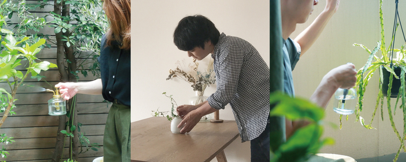僕たちの愛用品 京都店スタッフが自宅で育てている植物た Re Ceno Mag
