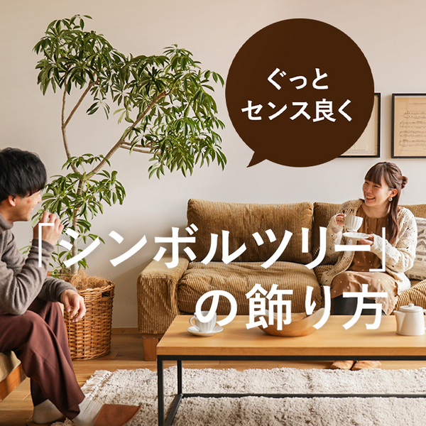 ディスプレイの基本 Re Ceno Mag