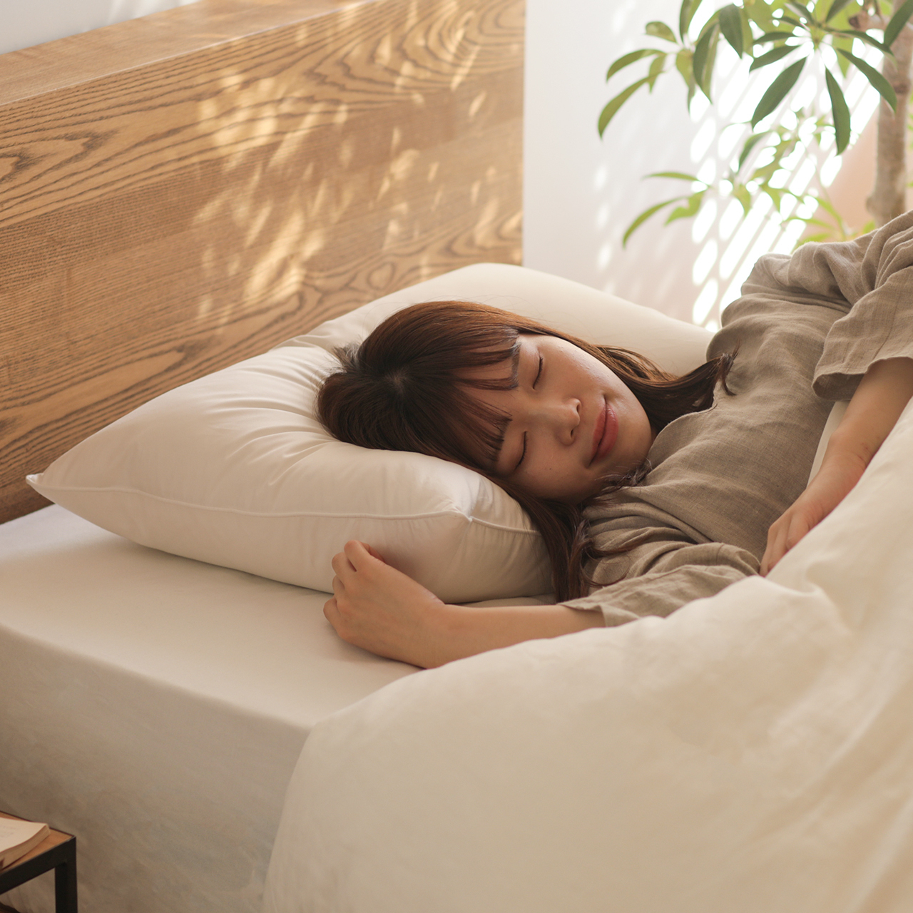 ラグジュアリーダウンピロー（FRANCE BED） 羽毛枕 ダウンピロー 高級ホテルまくら｜【公式通販】フランス