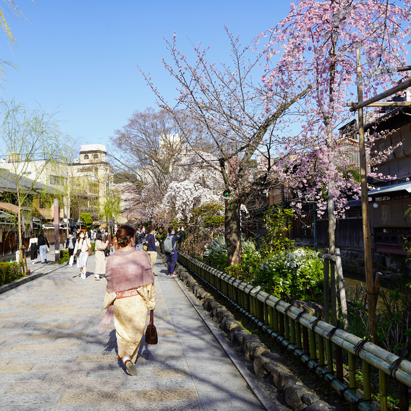 白川.jpg