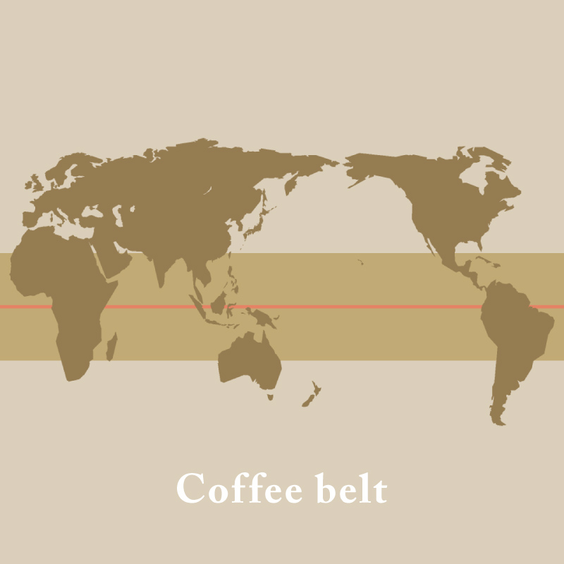 coffee_belt-1.jpg