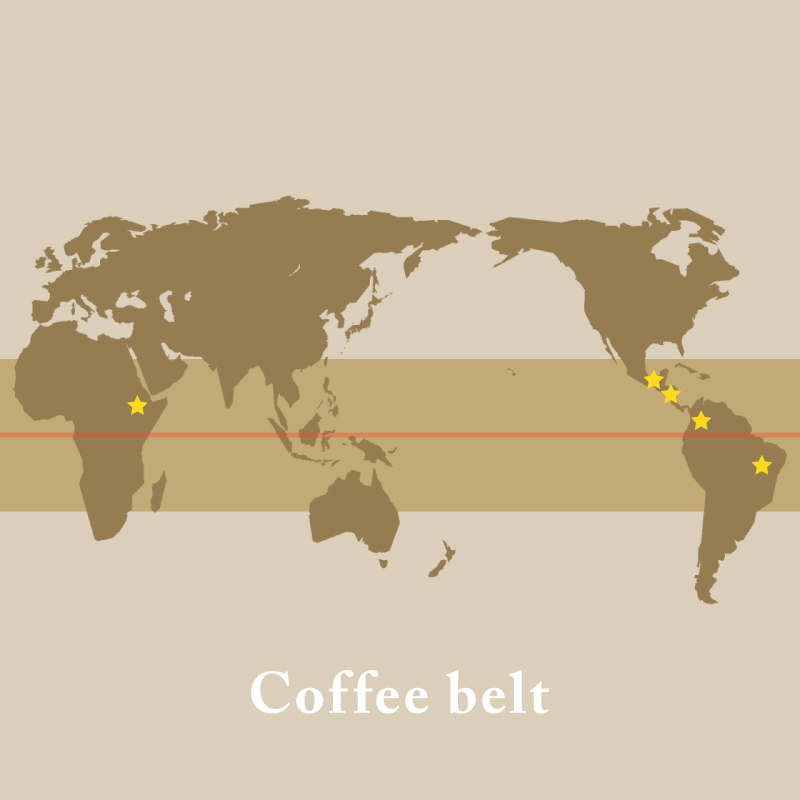 coffee_belt_アートボード 1.jpg