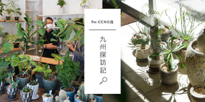 Re:CENO流 九州探訪記～「暮らしに潤いを。植物と器のお店」編～