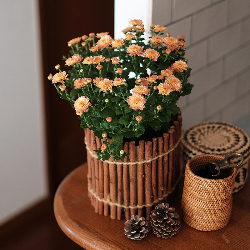 今週のお花レター 秋を彩る自然の花束ガーデンマム 家具 インテリア Re Ceno リセノ