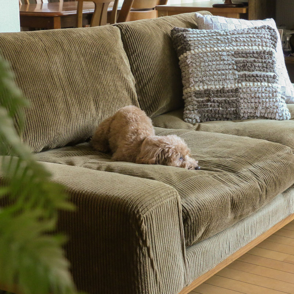 大切なペットと快適に過ごしたい方へ「家具選びの4つのポイント」をご紹介します。