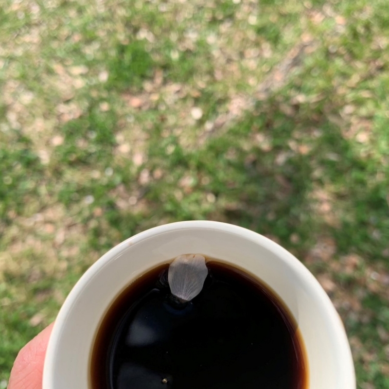 20230411120608.jpg