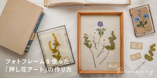 押し花アート 銘あり 押し花絵 額装 芸術 森 インテリア 飾り