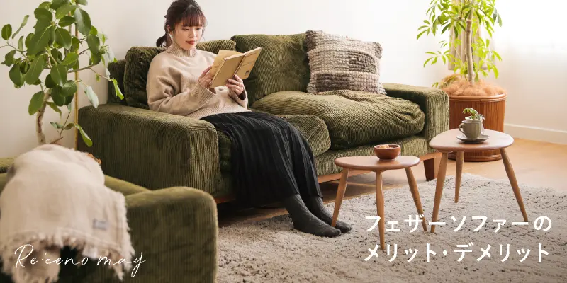 フェザーのデメリットは？