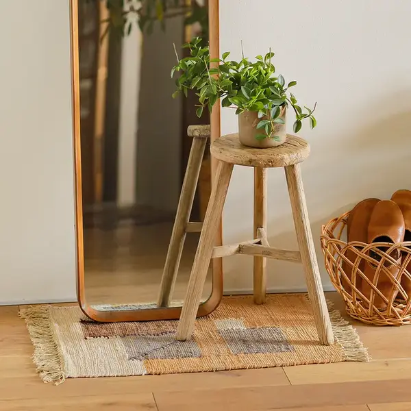 玄関に癒やしの観葉植物を。おすすめ3品種をご紹介します。