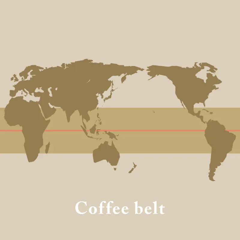 coffee_belt-1.jpg