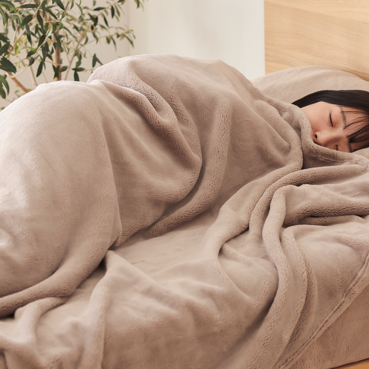 洗える マイクロファイバー毛布 Fuwanel ｜家具・インテリア通販 Re
