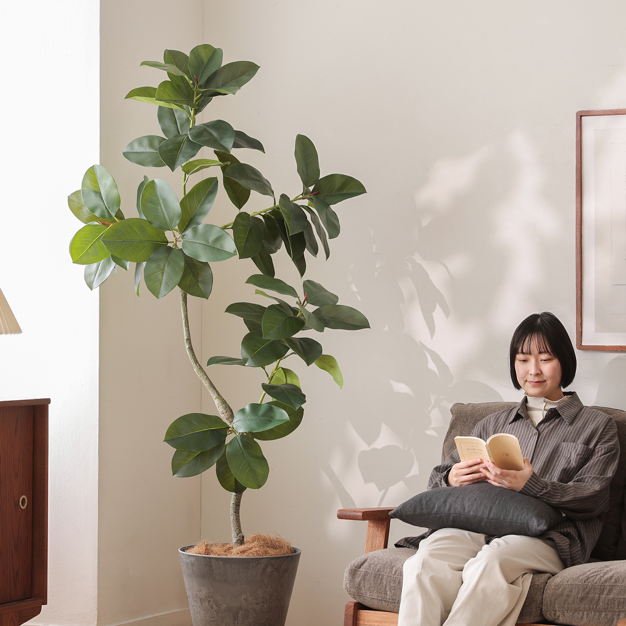 フェイクグリーン ゴムの木 ｜家具・インテリア通販 Re:CENO(リセノ)