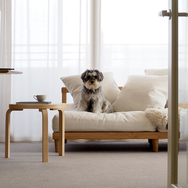 【わたしの愛用品】AGRAソファーのカバーを「ペット対応生地」にチェンジしました。