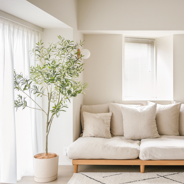 【わたしの愛用品】ずっと憧れていた「植物のある暮らし」。背中を押してくれたフェイクグリーン