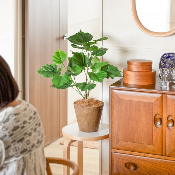 【わたしの愛用品】 植物が育ちにくい環境でも、緑のある暮らしを。 フェイクグリーンをお迎えしました！