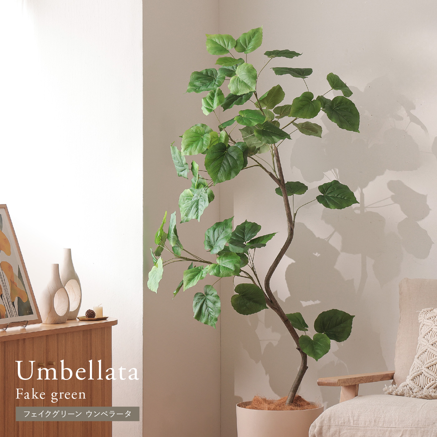 フェイクグリーン ウンベラータ