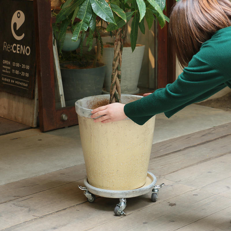 室内での大きな植物の管理って難しいの そんな時に便利なアイテムをご紹介します 家具 インテリア Re Ceno リセノ