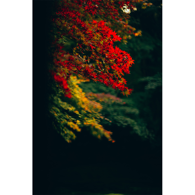 20181112164941.jpg