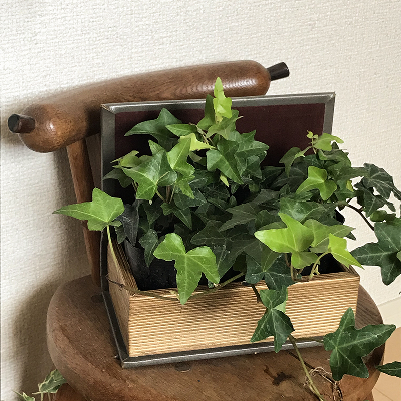 20190727113843.jpg