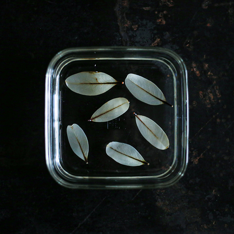 20200316131352.jpg