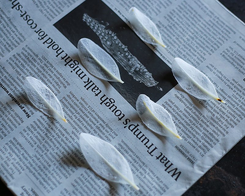 20200316133451.jpg