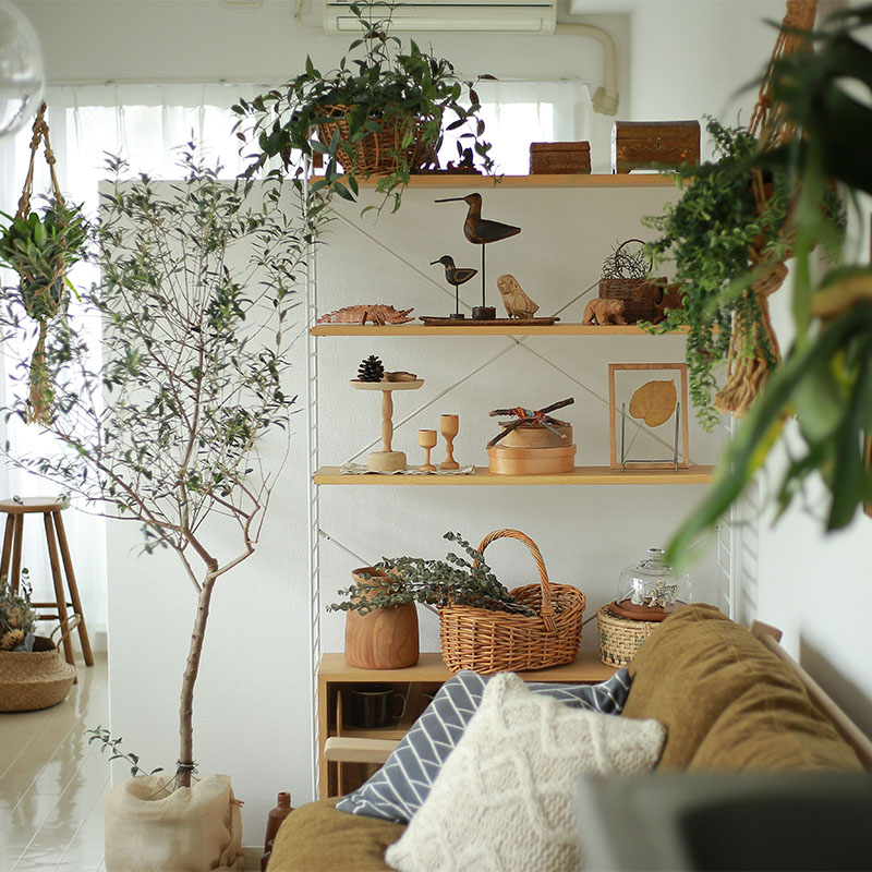 小さい観葉植物をおしゃれに飾っているお部屋.jpg