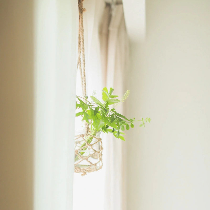 カーテンレールにハンギングしている植物.jpg