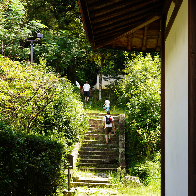 DSC00295.jpg