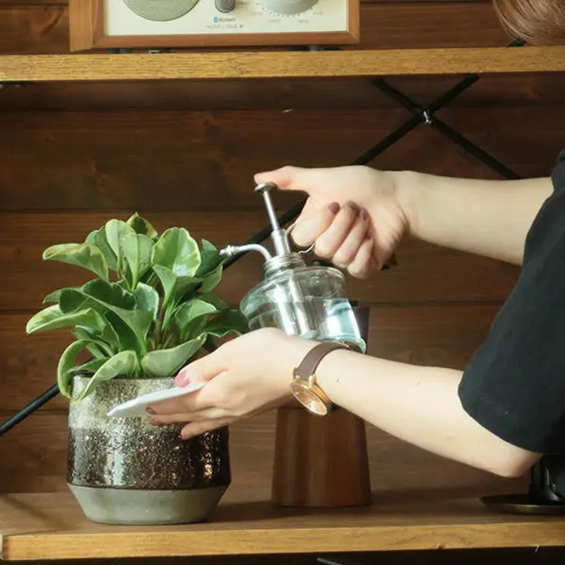 植物に水やりをしている.jpg