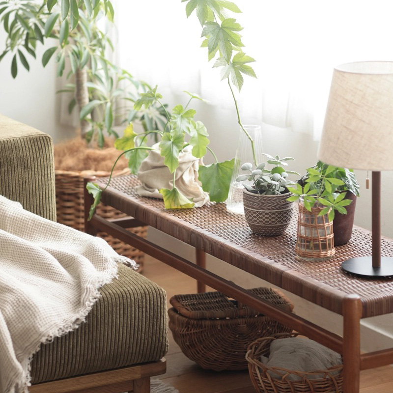 風通しの良い窓際に置かれた観葉植物.jpg