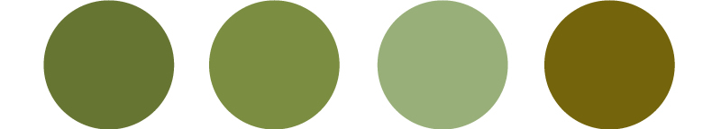 20240510-4.jpg