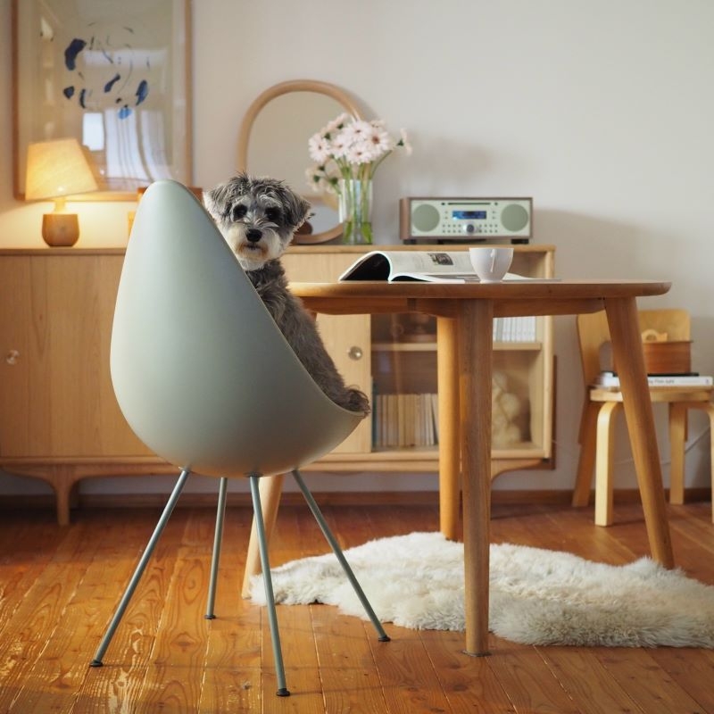 ohara_1108_house.jpg