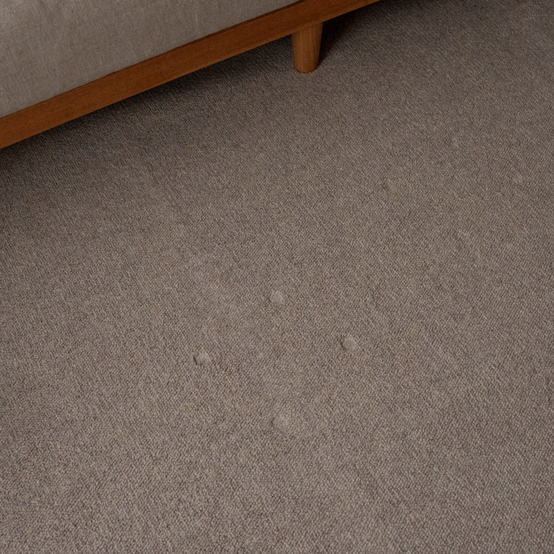 DSC01930.jpg