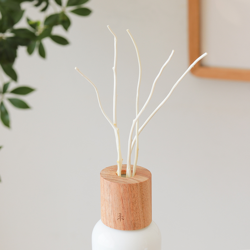 diffuser_place_11.jpg
