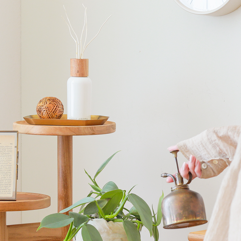 diffuser_place_1.jpg