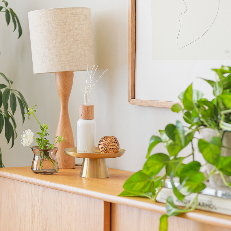 diffuser_place_2.jpg