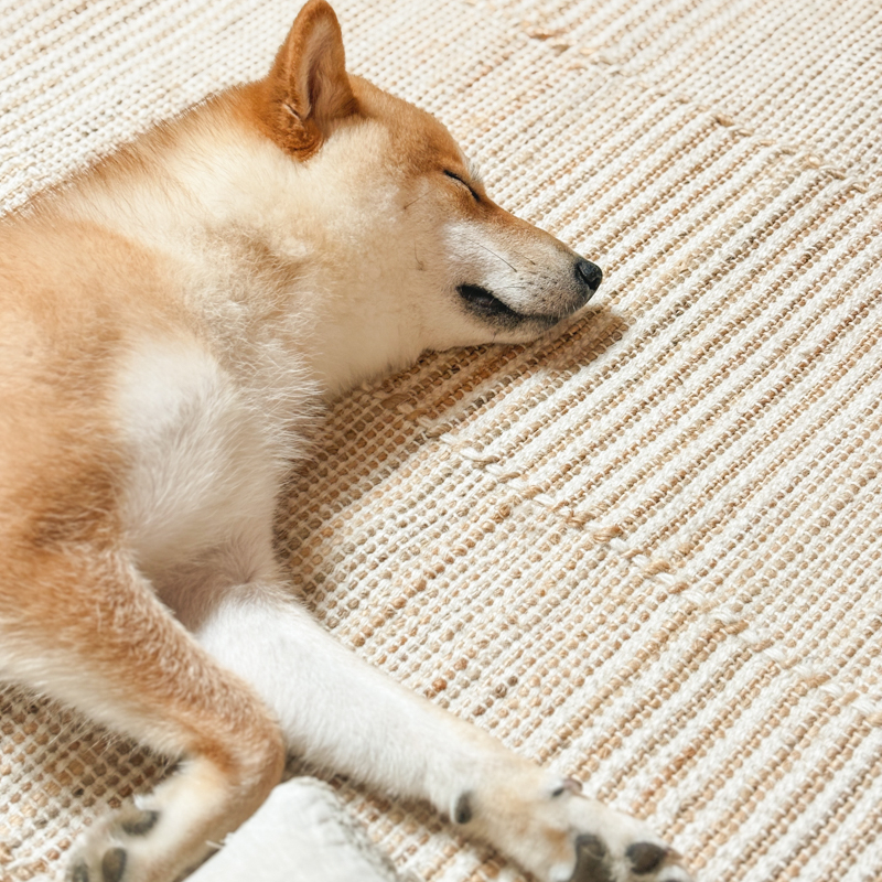 summerrug1.jpg