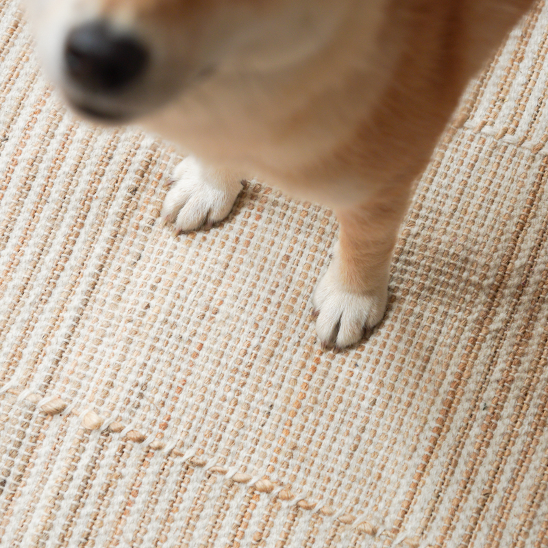 summerrug6.jpg