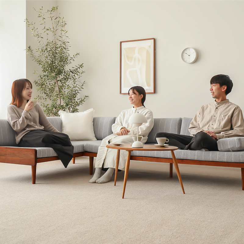 low_sofa_pros_cons (25).jpg