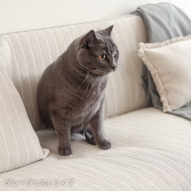 名称未設定-2.jpg