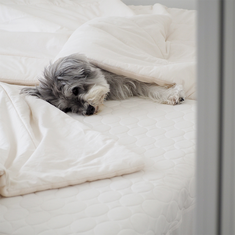 summer_cool_bedding (2).jpg