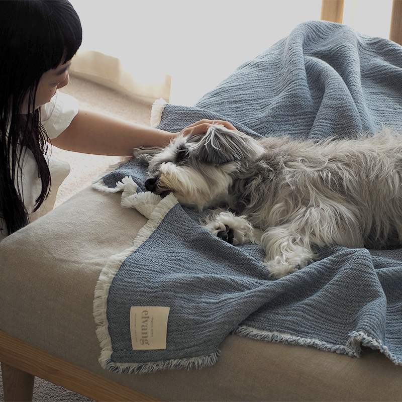 pet_interior_living (1).jpg
