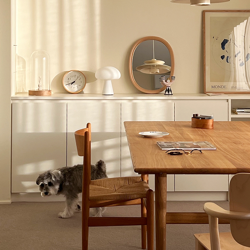 pet_interior_living (2).jpg